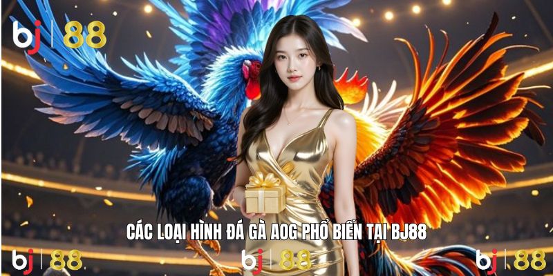 Đa dạng sắc màu, mỗi trận mang một cảm xúc riêng.