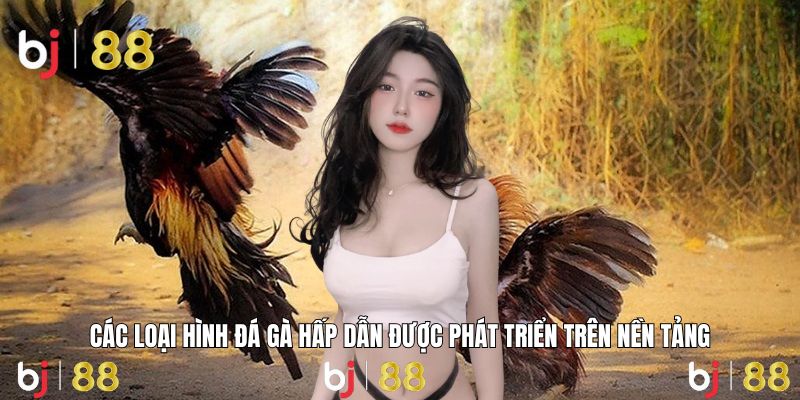 Trải nghiệm đa dạng với Thomo, SV388, Cockfight siêu kịch tính