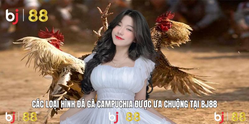 BJ88 cung cấp đa dạng hình thức cá cược đá gà Campuchia