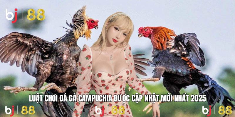 Luật chơi chi tiết được hệ thống cập nhật mới nhất