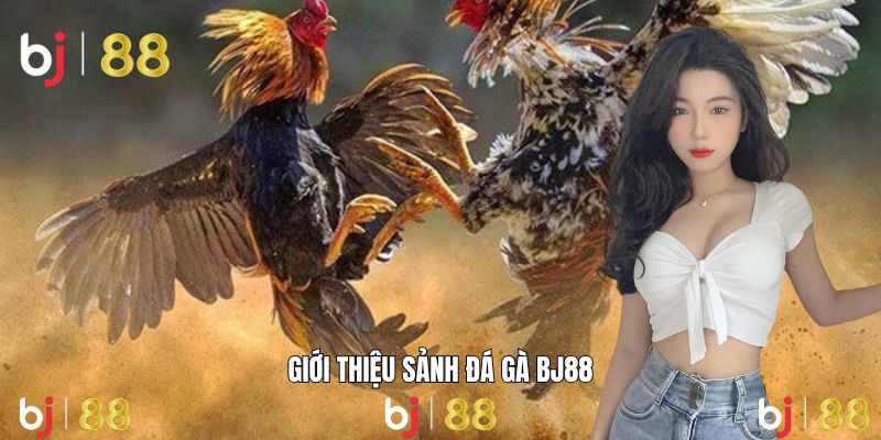 Đấu trường trực tuyến chất lượng cao tại BJ88