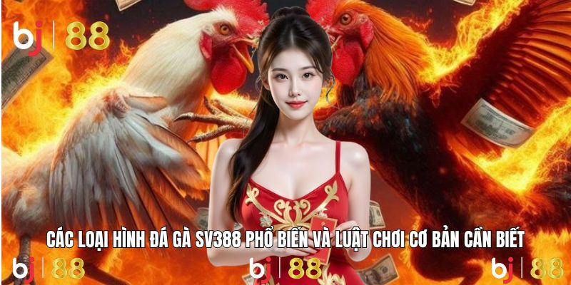 Trải nghiệm đa dạng loại hình đá gà hấp dẫn mỗi ngày