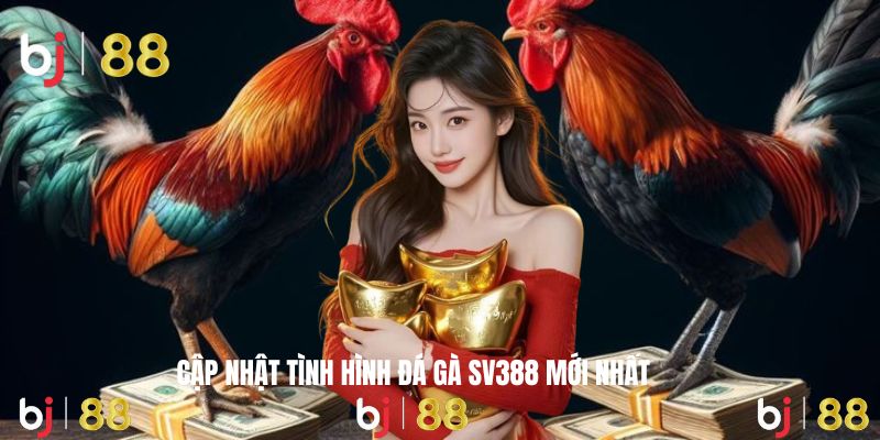 Cập nhật giải đấu sôi động sắp tới