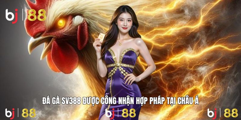 da-ga-sv388-dai-dien