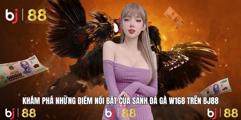 Trải nghiệm đá gà W168 với nhiều tính năng nổi bật