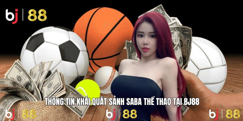 Nền tảng thể thao hiện đại với giao diện trực quan